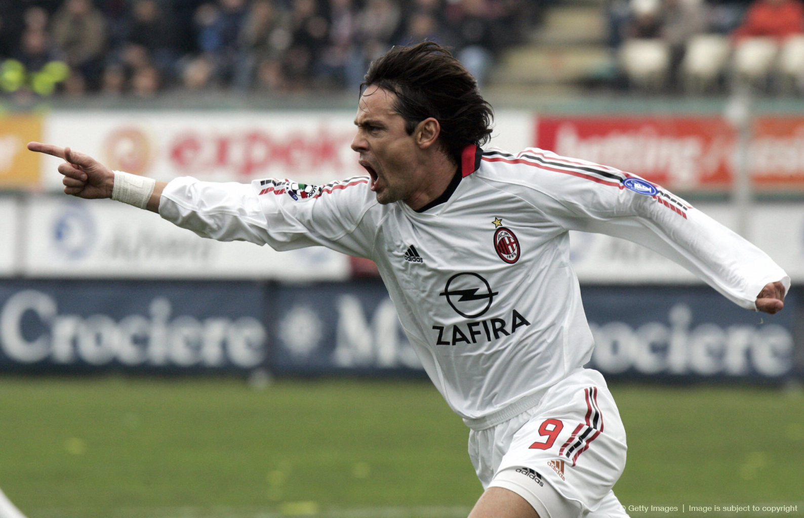 离不开荷兰 离不开荷兰