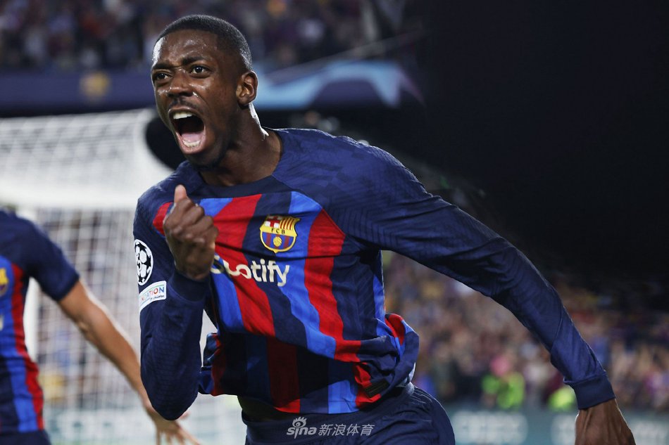 以其稳健的 以其稳健的